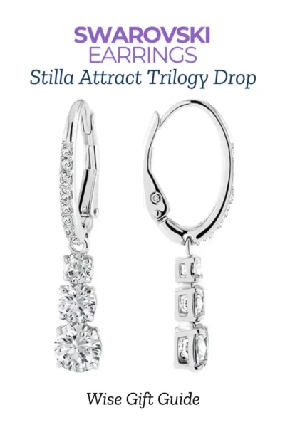 50 Best Gifts For Mother-In-Law 3 Swarovski EARINGS-Best gift idea for a mother-in-law who has everything