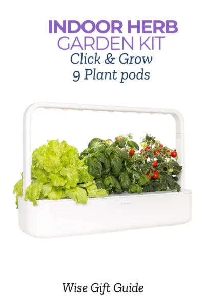 50 Best Gifts For Mother-In-Law 22 indoor plants for mother-in-law